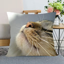 Axyaa Pet Cat Bed Pillowcase - Cute Animal Printed Cushion Cover