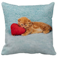 Axyaa Cute Cat Pillowcase Bubble Black  Kids Gift Decor Custom