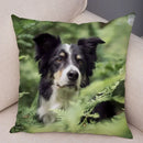Scottish Border Collie Pillowcase - Axyaa Dog Print Decor Cushion Cover
