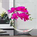 Axyaa Simulated Butterfly Orchid Ceramic Flowerpot Set for Home Decoration