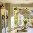 Axyaa Petal Design LED Chandelier for Living Room, Bedroom, and Dining Table