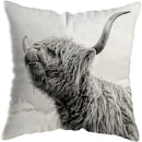 Axyaa Highland Cat Cow Yak Animal Pillowcase for Stylish Home Decor