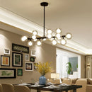 Axyaa Glass Round Pendant Chandelier for Luxury Home Decor