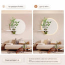 Axyaa Sandstone Vase & Green Plant Luminous Wall Painting with Wall Lamp