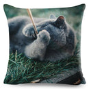 Axyaa British Shorthair Russian Blue Cat Cushion Cover - Cute Pet Animal Pillowcase