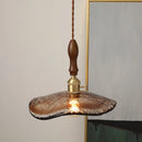 Axyaa LED Pendant Lamp Modern Nordic Style Hanging Light Fixtures