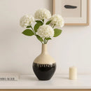 Axyaa Decorative Flower Vase for Home and Office - Stylish Room Accent