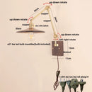 Axyaa Cube Glass LED Wall Sconce, Walnut Wood, Pull Chain Switch, 2 Arms