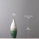 Axyaa Green Gradient Ceramic Vase for Stylish Living Room Decor