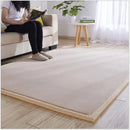 Axyaa 2cm Coral Fleece Carpet | Custom Size | Thickened | Branded Quality