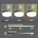 Axyaa Ceiling Fan Light with Remote Control & LED - E27 Socket