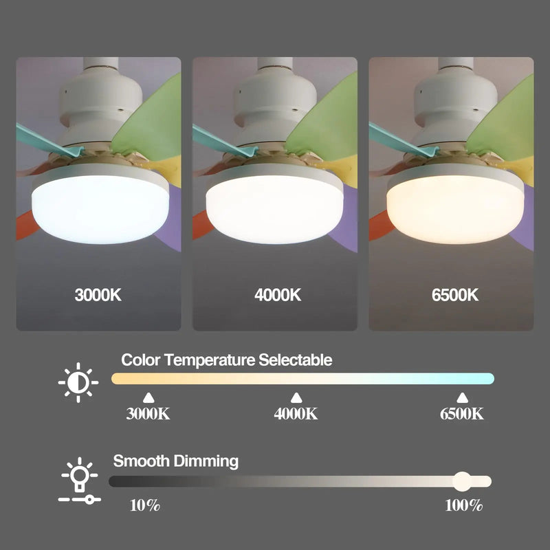 Axyaa Ceiling Fan Light with Remote Control & LED - E27 Socket