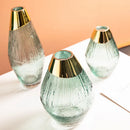 Axyaa Transparent Glass Vase Flower Arrangement Home Decor Accessory