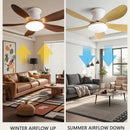 Axyaa Ceiling Fan Light Remote Control Small Living Room Dining Room 110V 220V