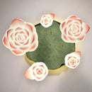 Axyaa Pink Lotus Glass Pendant Lamp for Living and Dining Room - Home Decor