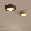Axyaa Modern LED Ceiling Lights for Home Decor, Indoor Chandelier Lamp