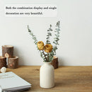 Axyaa Rustic Ceramic Vase Set for Modern Farmhouse Decor