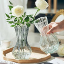 Axyaa Clear Retro Flower Vase Hydroponics Plants Pot Glass Decor Container