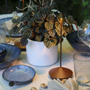 Axya Touch LED Table Lamp for Dining and Bar Decor