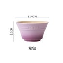 Axyaa Rainbow Gradient Ramen Bowls Set - 300ML Japanese Kitchen Tableware