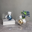 Axyaa Irregular Glass Vase Golden Ball Terrarium Flower Arrangement Jar