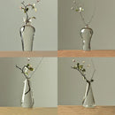 Axyaa Transparent Glass Zen Vase for Living Room Decor and Hydroponic Plants