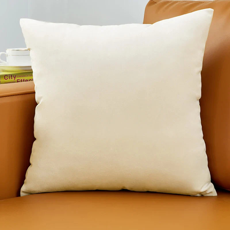 Axyaa Soft Velvet Pillowcase: Modern Simple Throw Pillow Cover for Cozy Living Room Decor
