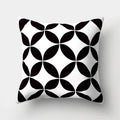 Axyaa Geometric Portrait Pillowcase - Stylish Home & Office Cushion Cover