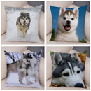 Siberian Husky Pillowcase - Axyaa Animal Cushion Cover, Decor, Cute, Dog Print