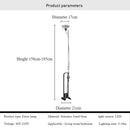 Axyaa Designer Stainless Steel LED Floor Lamp for Stylish Living Room Lighting