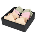 Axyaa Underwear Bra Socks Organizer Box Cabinet Drawer Clothes Storage Organizer