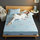 Axyaa Antibacterial Waterproof Mattress Protector - Padded, Non-Slip, Urine-Proof Cover