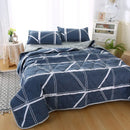 Axyaa Daisy Print Quilted Summer Quilt Set - Soft, Breathable, Washable, Comfortable