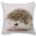 Axyaa Lovely Little Hedgehog Design Cushion Cover for 45*45cm Sofa Pillow