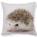 Axyaa Lovely Little Hedgehog Design Cushion Cover for 45*45cm Sofa Pillow