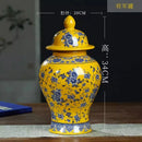 Axyaa Blue & White Porcelain Vase for Home Decor with Dracaena Sanderiana