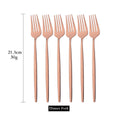 Axyaa Mirror Stainless Steel Dinner Fork Set - 6Pcs Flatware Gold Silverware