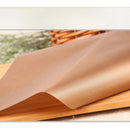 Axyaa High Temp Resistant Baking Pizza Mat Set of 10