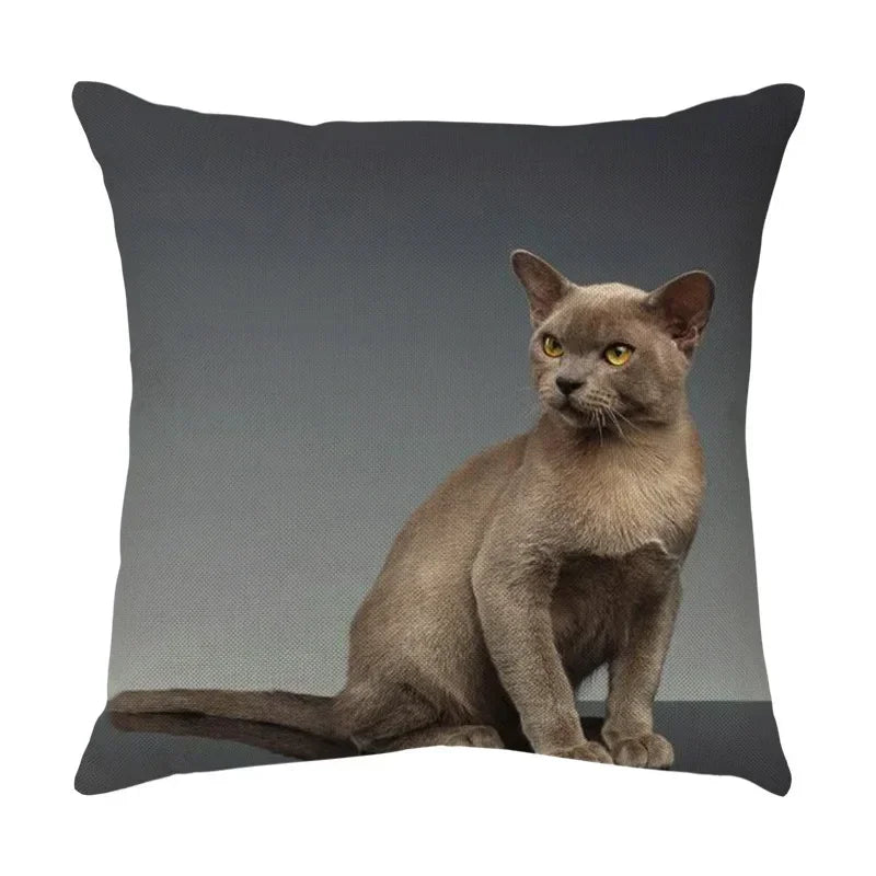 Axyaa Black Cat Cartoon Decorative Cushion Cover