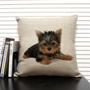 Axyaa Dog Pattern Cushion Cover for Family Sofa and Car Decoration