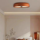 Axyaa Eyelight Ceiling Light: Orange Black White Minimalist Lights for Kitchen Living Room Decor
