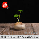 Axyaa Zen Stone Ceramic Vase Planter for Living Room Table & Pothos