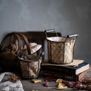 Axya Wrought Iron Egg Cage Basket with Wood Handle
