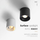 Axyaa LED Ceiling Spotlight: Anti Glare, Adjustable Angle, Surface Mounted Tube Lamp.