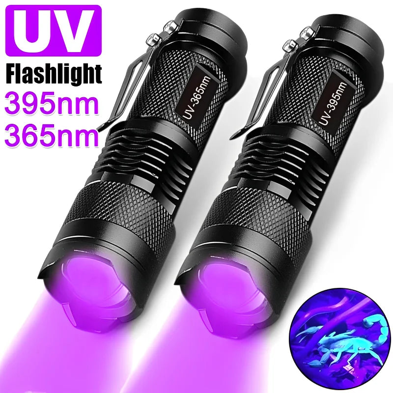 Axya UV Mini Blacklight Flashlight - Powerful Detector Light for Pet Urine