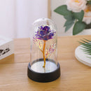 Axyaa Galaxy Rose LED Eternal Flower Lamp Nightlight - Perfect Valentine's Day Wedding Gift
