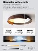 Axyaa Modern Wabi-Sabi Nordic Ceiling Light for Luxury Master Bedroom and Living Room