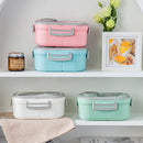 Axyaa Double-Layer Insulated Oval Lunch Box for Fresh Meals