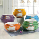 Axya Japanese Lucky Cat Ceramic Bowl Set