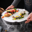 Axyaa Ceramic Dry Ice Plate Set for Seafood Sashimi and Salmon, Irregular Design